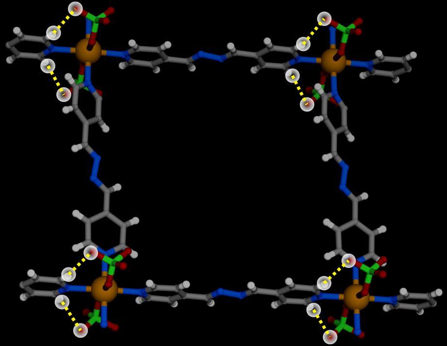 Figure S13: Various non-covalent interactions between cationic host framework and coordinated anions in 2 ClO 4 (Color code; Carbon: gray,