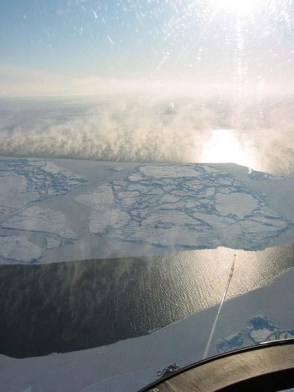 Origin of inhomogeneity over sea ice covered regions: Leads and