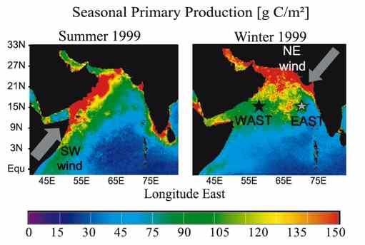 Marine biological productivity favored by upwelling and surface mixing due to monsoon winds in