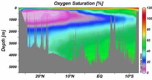 Study of sediment cores recovered within and below the oxygen