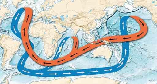 ocean basins at global