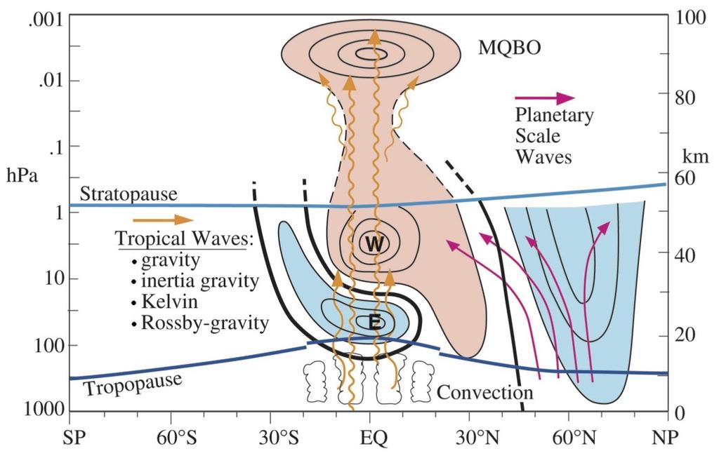 Quasi-biennial Oscillation-Stratospheric Polar Vortex Connection (Holton-Tan Effect) Indicates an impact of QBO on extratropical circulation QBO mainly driven by upward propagating tropospheric waves