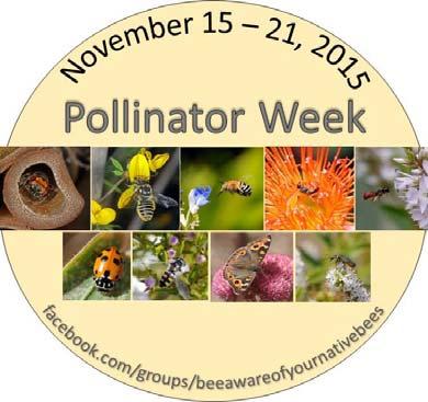 Australian pollinator week did not come into being until 2015, as part of a community project called Bee aware of your native