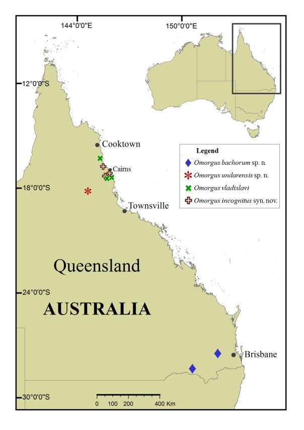 11 Fig. 5: Distribution map of Omorgus spp. in Australia: O.