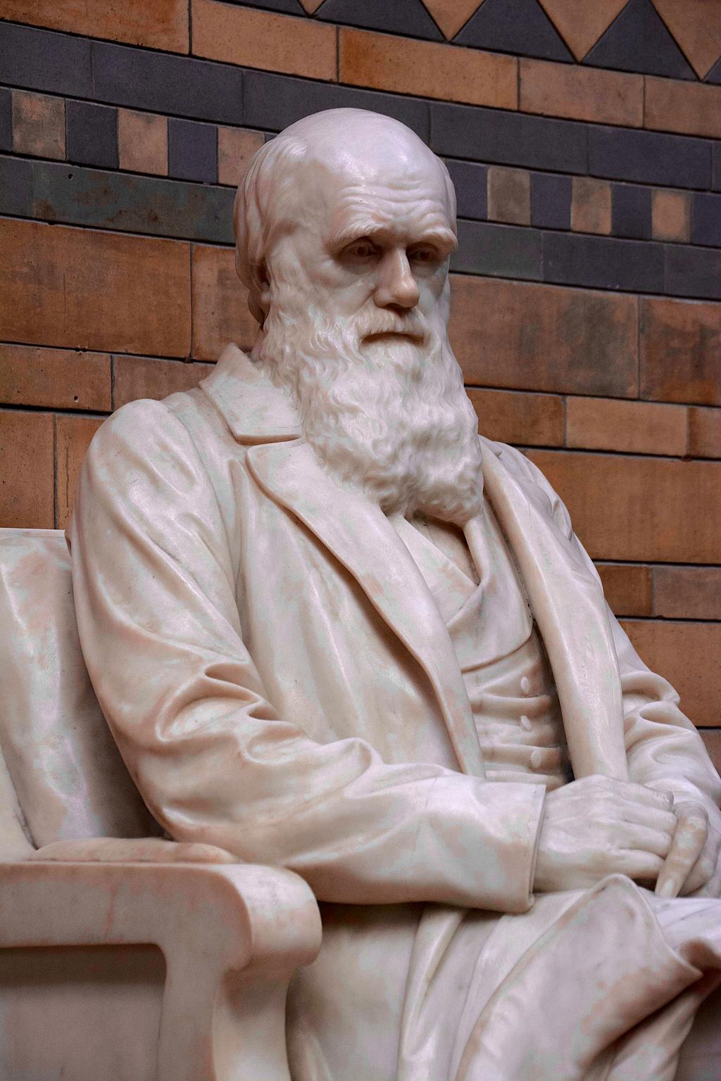 Charles Darwin (1809-1882) He published On the Origin of Species by Natural Selection (1859).