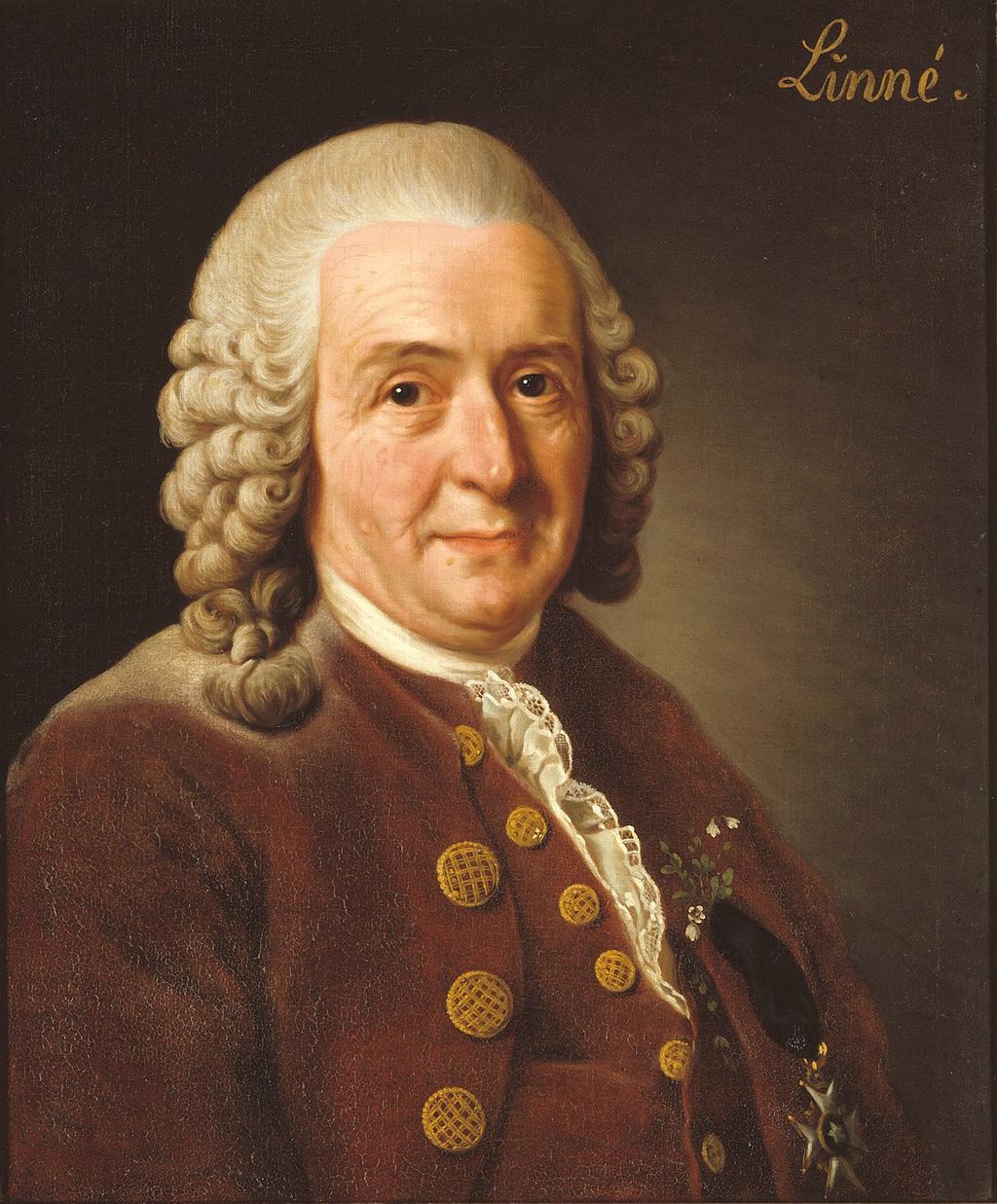 Carl Linnaeus (1707-1778) Considered the father of modern taxonomy for his work in the hierarchical classification of the species.