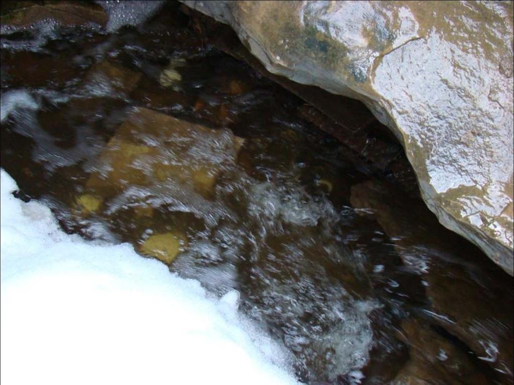 2. Water can carry contaminates very far, very quickly Water moves very quickly through underground caves and channels,