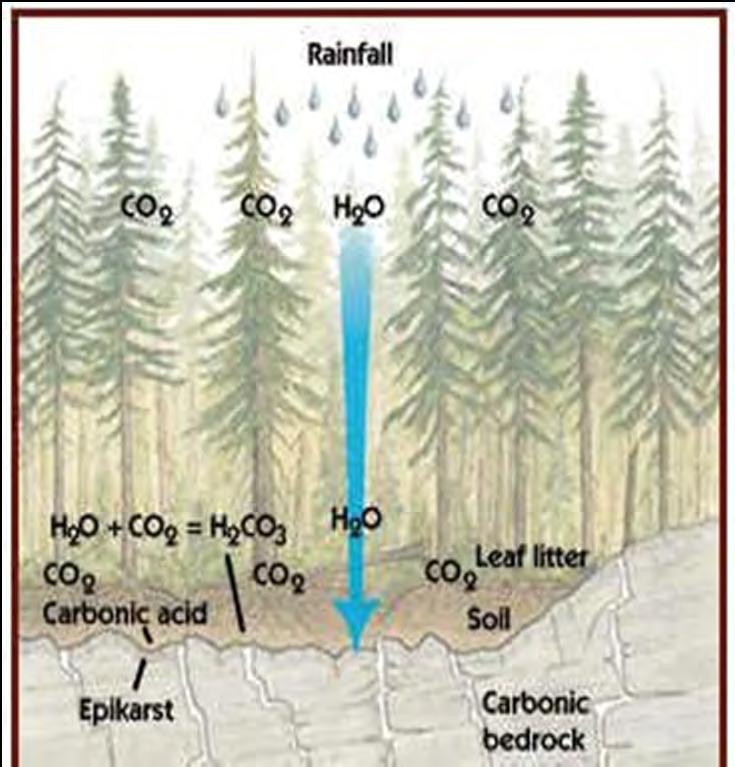 Part 1: Carbonic Acid Rain Water + Carbon Dioxide = Carbonic Acid H 2 O + CO 2 H 2 CO 3 Rain water picks up carbon dioxide (CO 2 ) from the air
