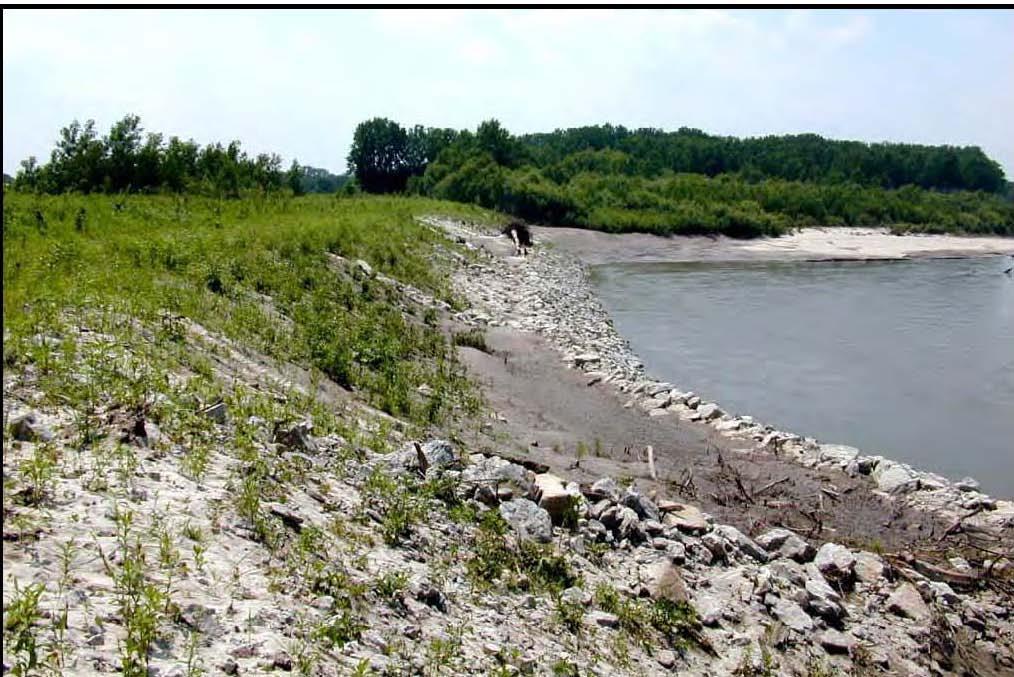 Kaskaskia River Results and Recommendations