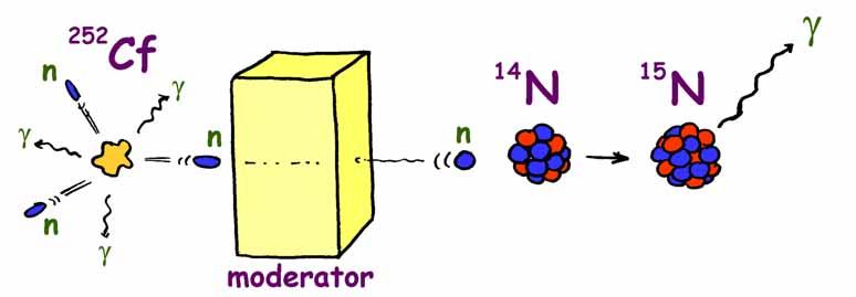 Neutron induced reactions Thermal neutron