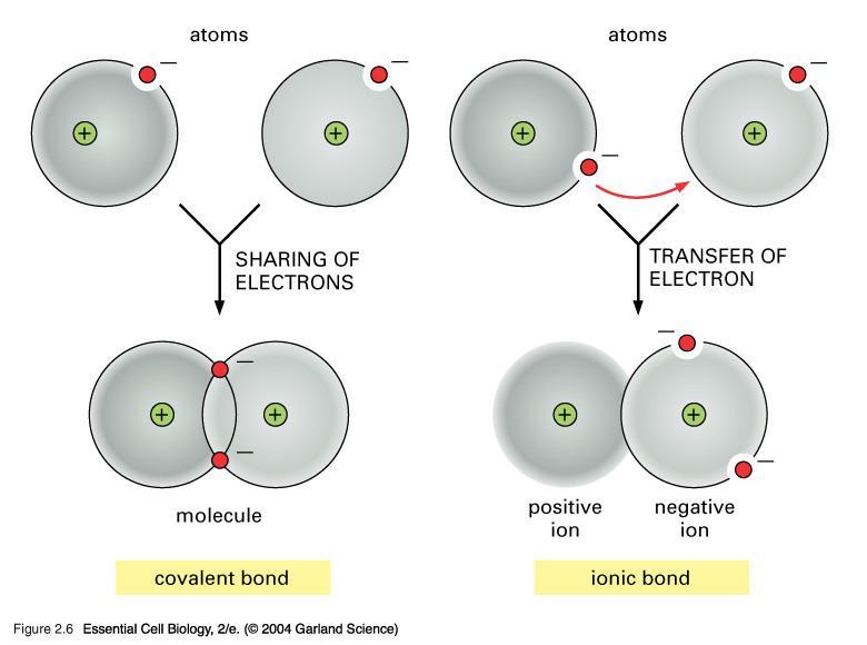 Oppositely charged ions have a strong attraction, which is an ionic bond.