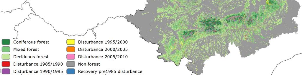 Forest disturbances, forest recovery,