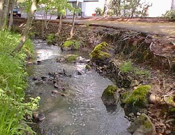 Fall 2003 Fall 2003 Post-Construction In-Stream Boulder Barbs Redirect Stream Flows Embankments/Public Utilities
