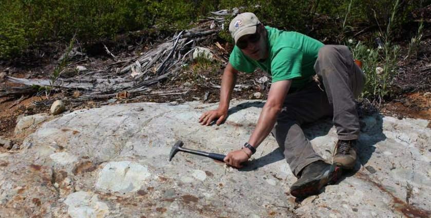 Sc. project is focused on increasing the understanding of the magmatic evolution, mineralization styles and alteration of Imperial Metals Red Chris deposit in northwest BC, with a particular focus on