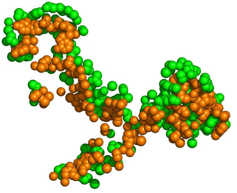 Protein-RNA interface: Arginyl-tRNA