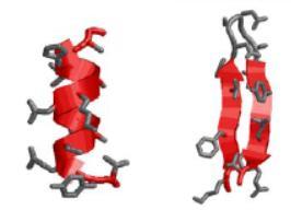 duplex RNA and single stranded RNA, interface water molecules prefer to form