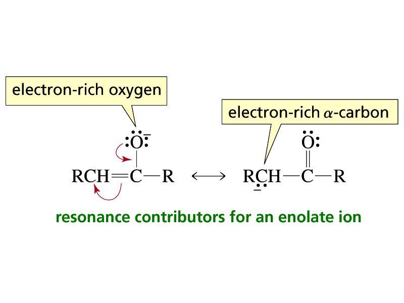 An Enolate Is an Ambident Nucleophile Reaction at the C or O site depends on the electrophile and on the