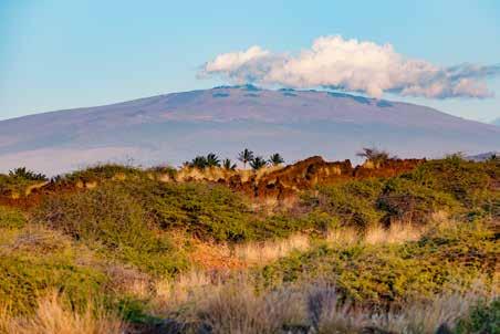 Data Mauna Kea 9.82º N, 55.47º W Summit elevation 3,796 ft (4,205 m) Mauna Kea is a dormant volcano.