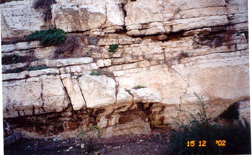 Rock Mass Structures Bedding planes Vertical Joints Set Type