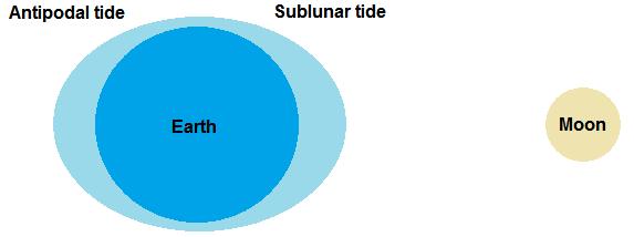 Tides Tides result from the differential gravitational forces of the moon and sun. The moon has a greater effect on tides than the sun because it is much closer to the Earth than is the sun.