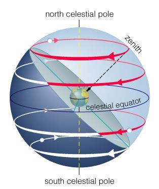 Our view from Earth: Stars near the north celestial pole are circumpolar and never set. We cannot see stars near the south celestial pole.