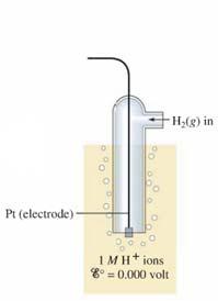 potential of a half-reaction individually by constructing a galvanic cell in which one of the electrodes is a standard hydrogen electrode consisting of a chemically inert platinum electrode in