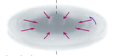 angular momentum A center bulge develops at the center of the