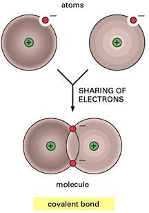 or sharing of electrons ( covalent bonds)