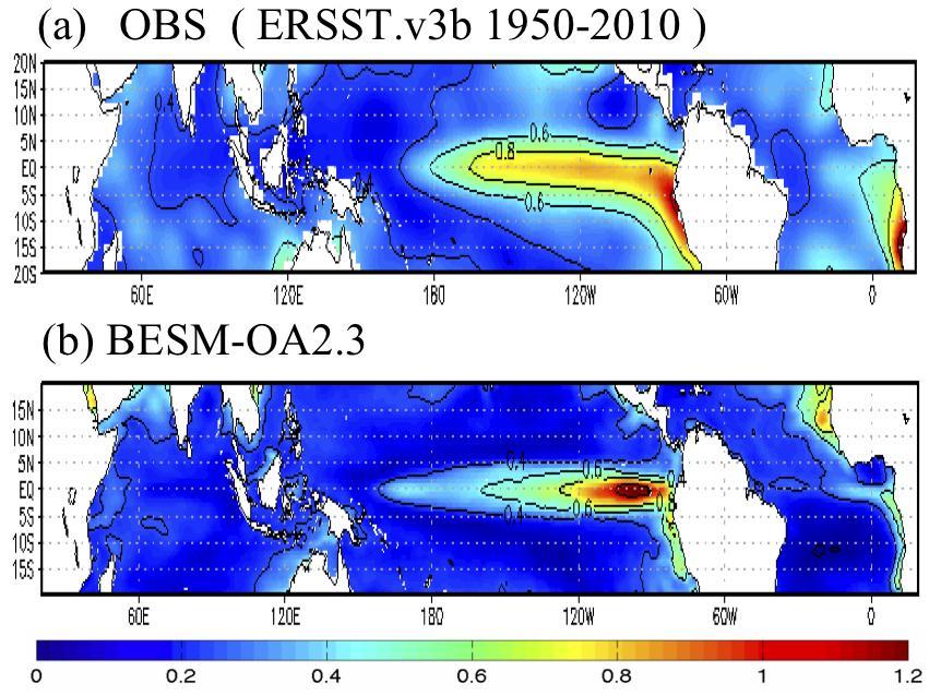 Interannual climate variability: BESM shows a robust ENSO signal over the equatorial