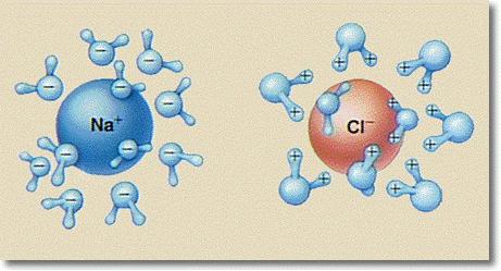Water molecules around small cations are highly polarized, and this polarization causes strengthening