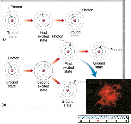 Photon Absorption and Emission Electron can usually only stay in excited