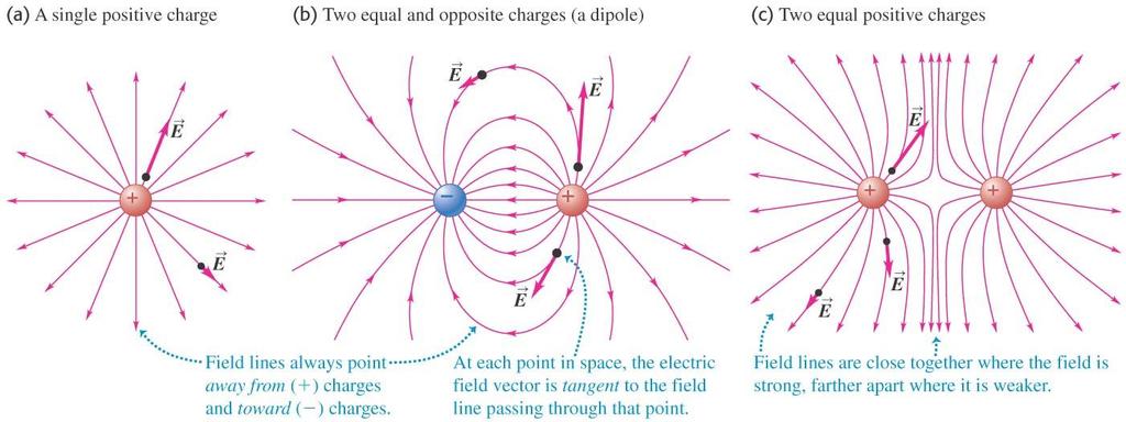 Electric field lines of point charges The figure below shows the electric field