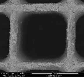 Catalyst Characterization BET Surface Area and SEM Images Understand uniformity of washcoating High ZSM-5 washcoated poorly Low ZSM-5 SSZ-13