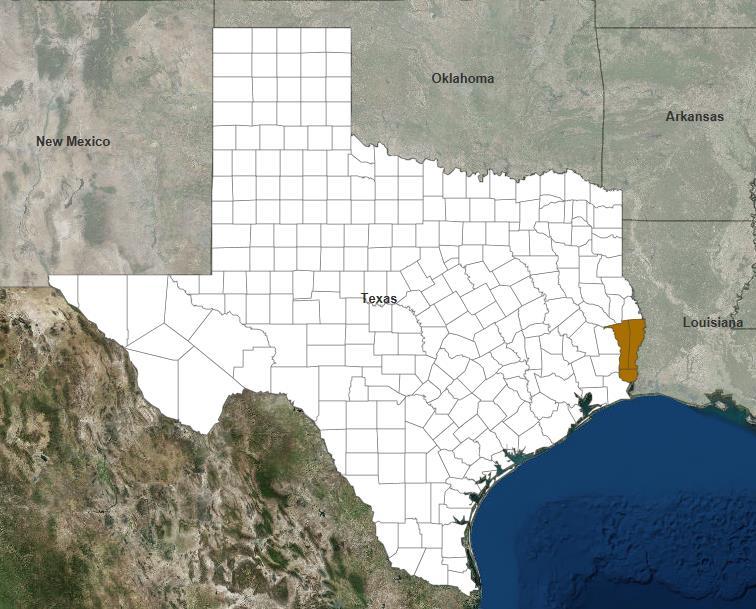 Major Disaster Declaration Approved TX FEMA-4266-DR-TX On March 19, 2016, a Major Disaster Declaration was declared for State of Texas For severe storms, tornadoes and flooding that occurred March 7,