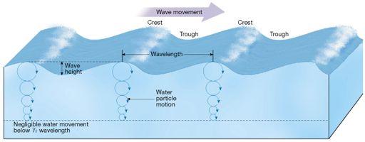 Wave Motion Wave Motion Parts Crest Trough Measurements of a wave Wave height the distance
