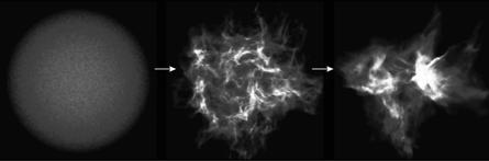Gravitational collapse of molecular clouds