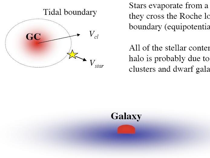 Dynamic Evolutionary modelling of GCs Star clusters evolve due to a number of dissolution mechanisms, the most important of which are: (1) Primordial gas loss: Star formation is less than 40%