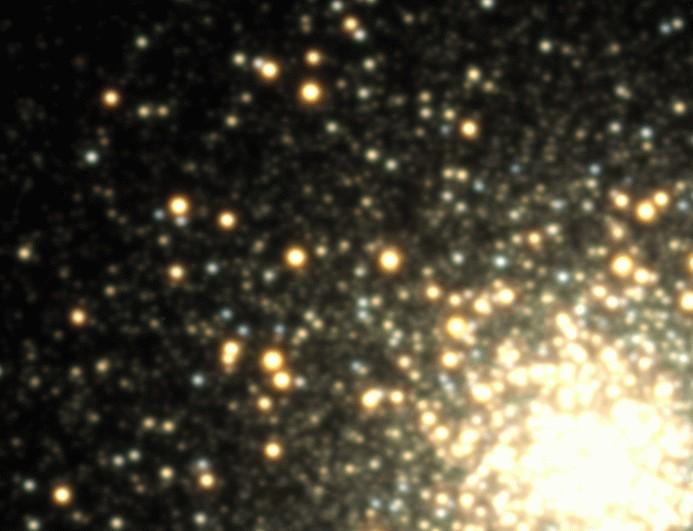 An example of pulsating stars: One night in the life of the globular