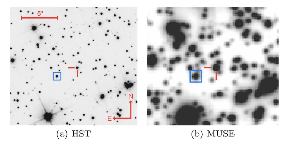 Blue square: the star for reference Red cross-hairs: the object reported in this paper MUSE spectroscopy Spatial resolution 1800 < R < 3500 of some