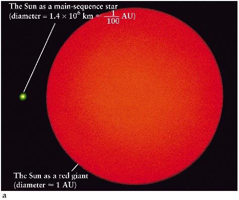 When core hydrogen burning ceases, a main-sequence star becomes a red giant.