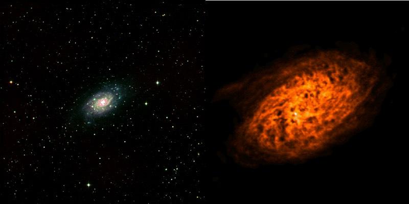 NGC 2403 Stars HI gas Fraternali,