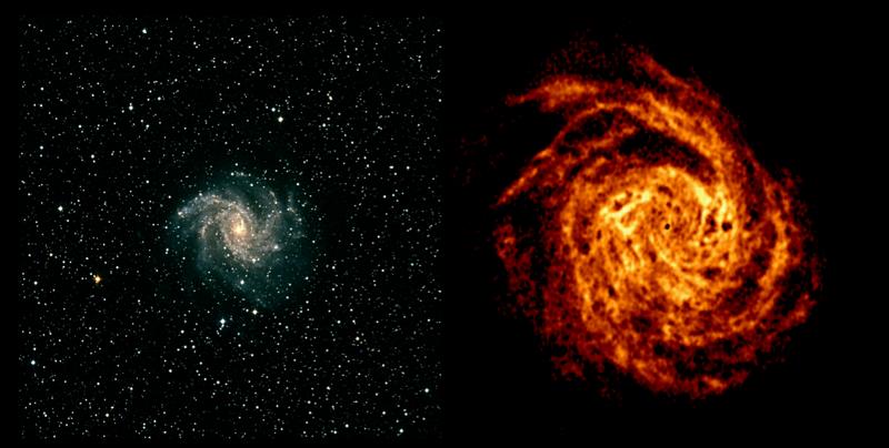 NGC 6946 Stars