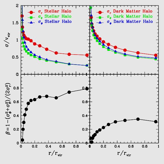 The Dynamics of Luminous Halos The The velocity dispersion tensor of of stars stars in in the the outer outer halo halo is is remarkably anisotropic: σ r2 r2 ~4 ~4 σ 2 t 2 t This, combined with with