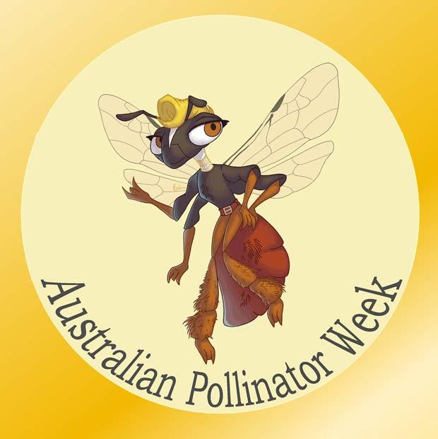 Meet Rita the Reed bee To help encourage participation in pollinator week, Megan Halcroft and Ebony Salama