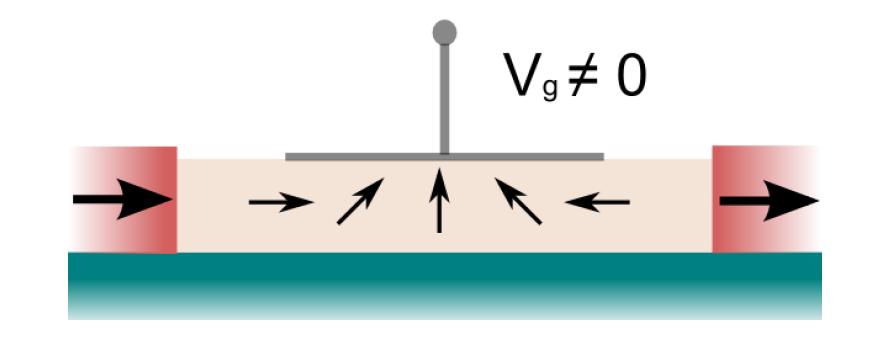transistor Bipolar spintronic devices