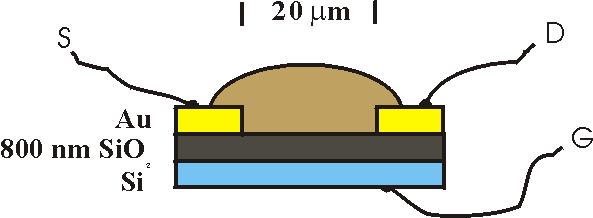 Field Effect Transistor I SD = (Z/L)µ p C[(V G V T )V D αv D2 ] If we know the dimensions of the device (A, Z, L, d [C]) we can find the hole mobility µ p