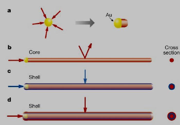 Coaxial Nanowires Au nanocluster catalyst Axial growth