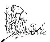Plant and Animal Domestication by Homo sapiens ~0.