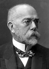 History of Microbiology Robert Koch (1843-1910). Discovery of the causative agent Anthrax, Bacillus anthracis. The causative agent of cholera, Vibrio cholerae.