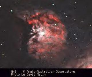 7 Apparent Dimension 1 M43 (NGC 1982) De Mairan s Nebula